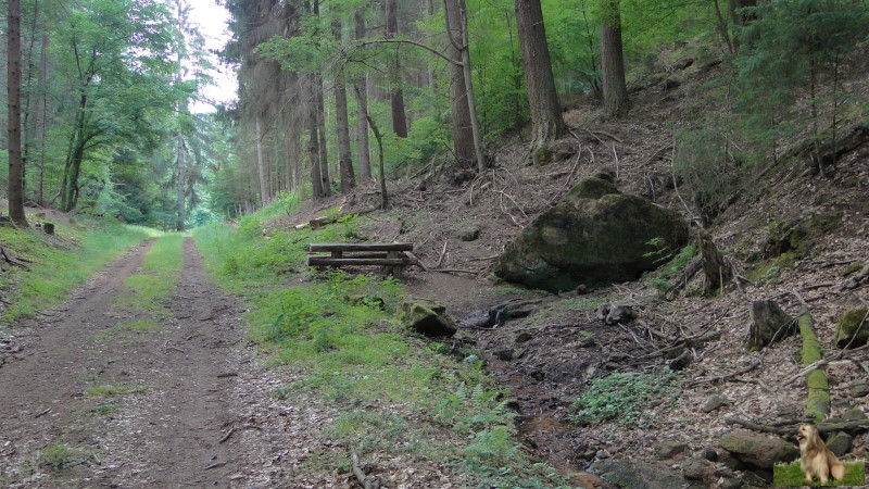 Ritterstein Nr. 148-5 Protztalbrunnen.JPG -  Ritterstein Nr.148  Protztalbrunnen                               